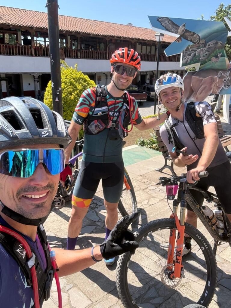 e238d3a1-a8fa-4d17-aa35-c3816000c52b